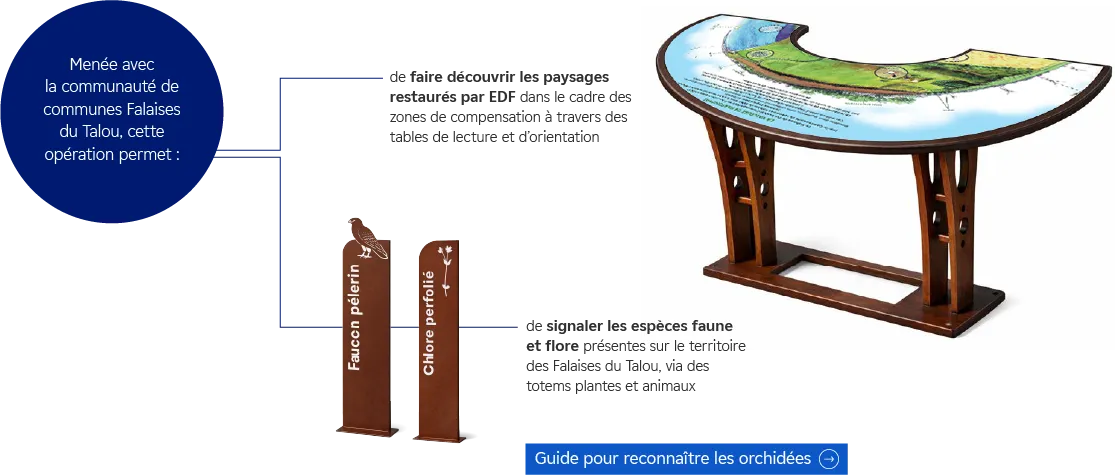 Infographie sur la collaboration entre EDF et une association du territoire pour sensibiliser les publics aux travaux de restauration des sites et à la protection de l’environnement autour du site de Penly.