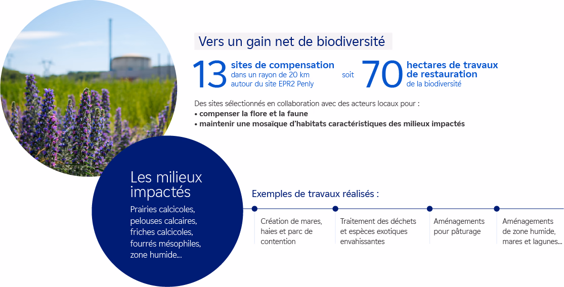 Infographie sur les sites sélectionnés pour mettre en œuvre les mesures écologiques compensatoires dans le cadre du projet de construction EPR2 Penly.